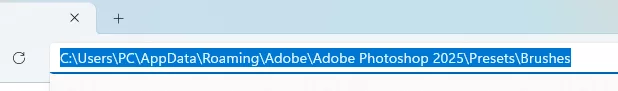 Ảnh chụp File Explorer hiển thị đường dẫn sâu vào trong AppData/Roaming.../Presets/Brushes