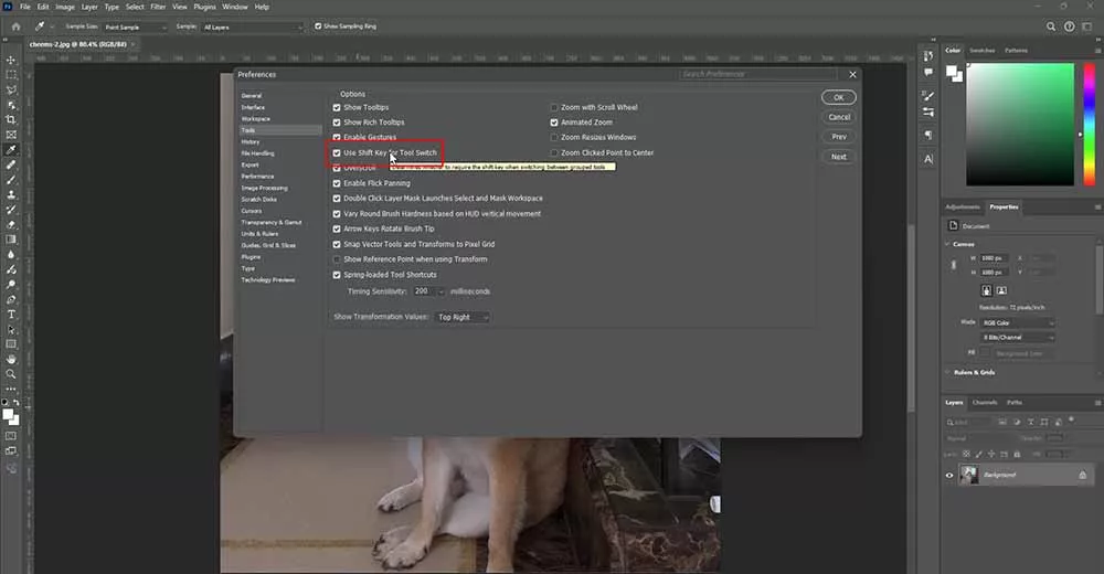 Ảnh chụp bảng Preferences > Tools