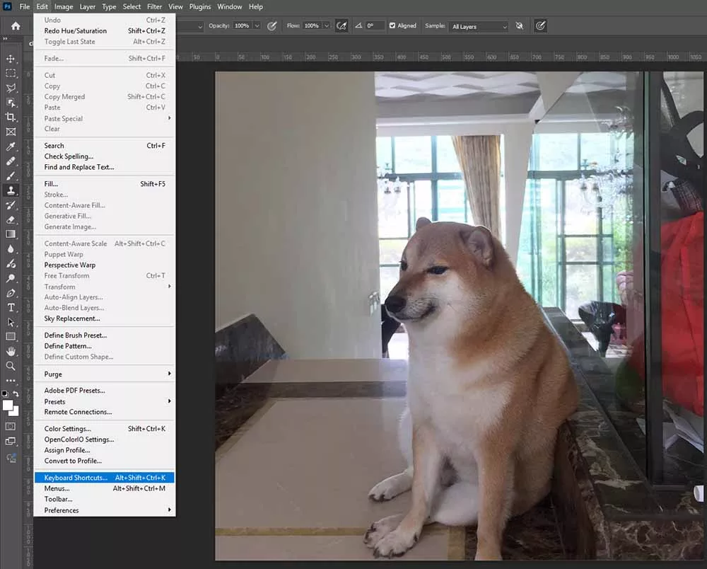 Ảnh chụp toàn bộ hộp thoại cài đặt