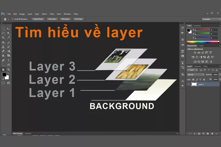 Bảng điều khiển Layer