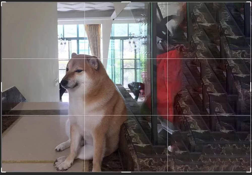 Crop Tool tích hợp sẵn lưới 1/3 giúp tái bố cục lại ảnh gốc