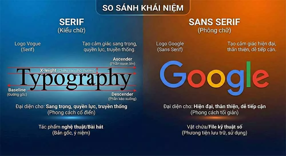Giải phẫu học của các ký tự (Anatomy)