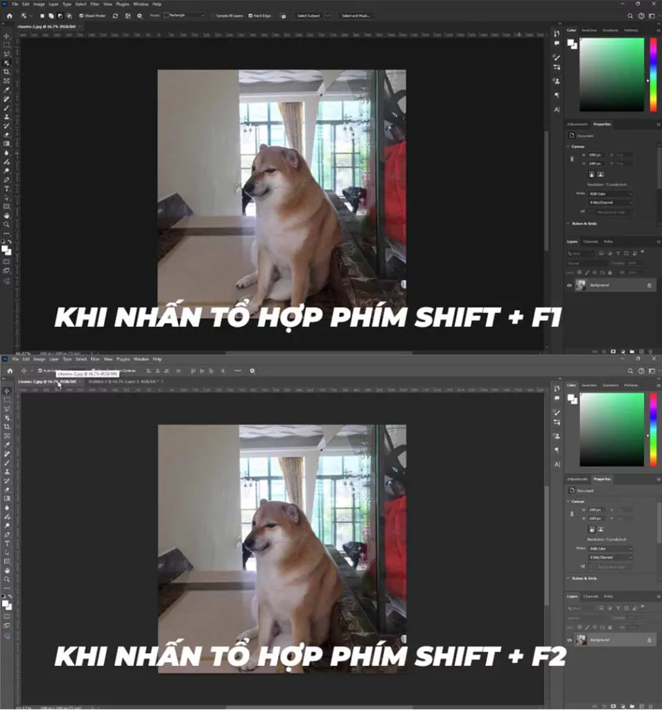 giao diện Photoshop chuyển từ sáng sang tối liên tục khi nhấn tổ hợp phím Shift + F1/F2