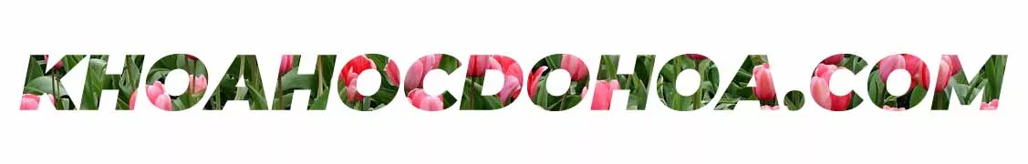 Hiệu ứng Text Portrait kinh điển