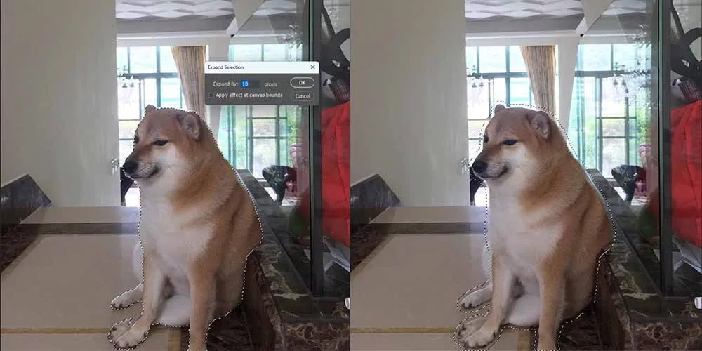 Luôn mở rộng vùng chọn (Expand) để có kết quả sạch sẽ nhất