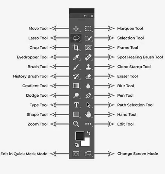 Move Tool - Công cụ đầu tiên bạn cần chạm vào