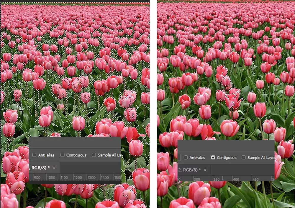 Sự khác biệt chí mạng giữa Bật và Tắt Contiguous