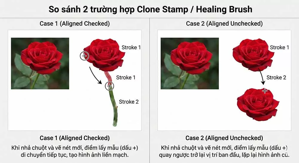Sự khác biệt giữa việc nguồn mẫu chạy theo chuột (Aligned) và nguồn mẫu cố định (Unaligned)