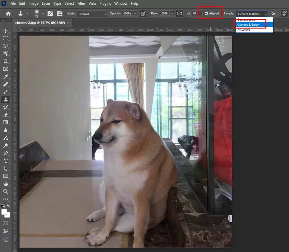 Thiết lập chuẩn để Clone Stamp hoạt động xuyên qua các layer