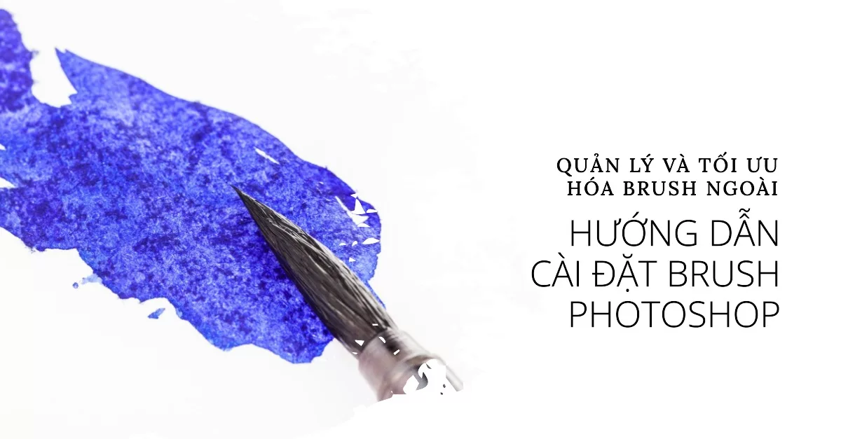Hướng dẫn Toàn diện: Cách Cài đặt, Quản lý và Tối ưu hóa Brush Ngoài trong Photoshop